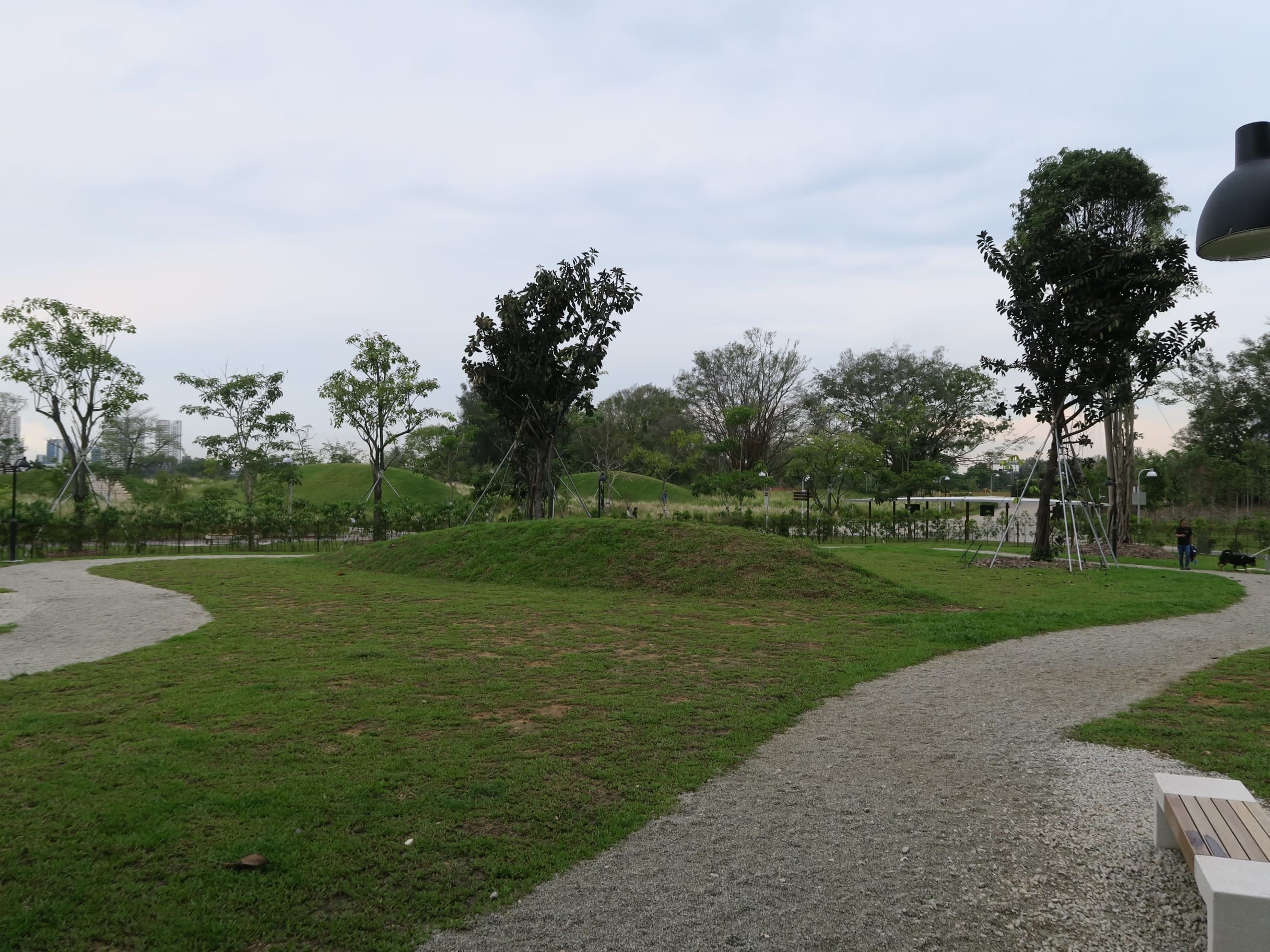 Dog Run